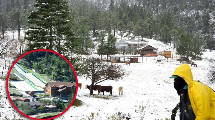 ¡Nieve por doquier!; este pueblo es conocido como 'La Suiza de México' por sus hermosos paisajes nevados