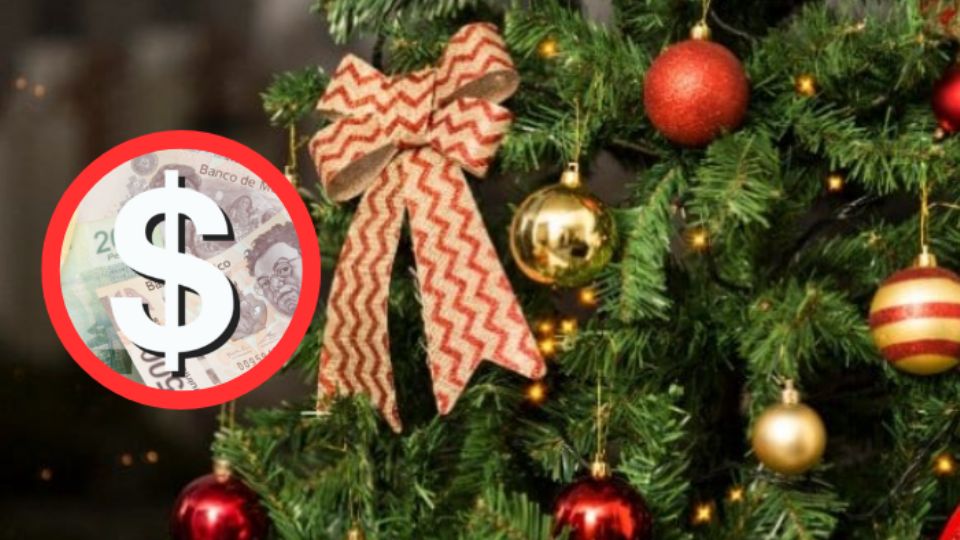 Precio de un pino de Navidad