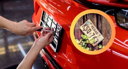Texas: pocos lo saben, pero por estos 3 motivos reemplazarían las placas de tu auto