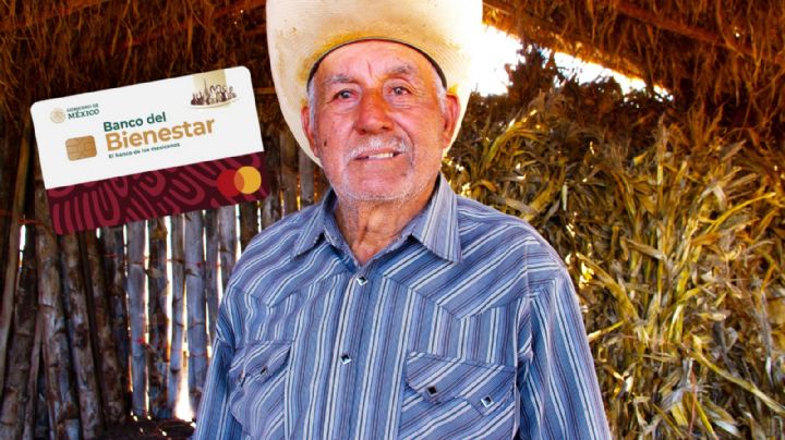 Pensión del Bienestar: así queda el calendario de pagos del 25 al 28 de noviembre de 2024