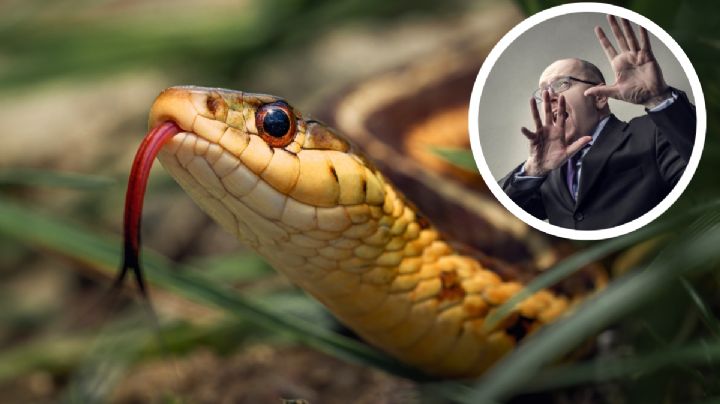 No debes meter las manos en estos lugares, son escondites de serpientes durante el invierno