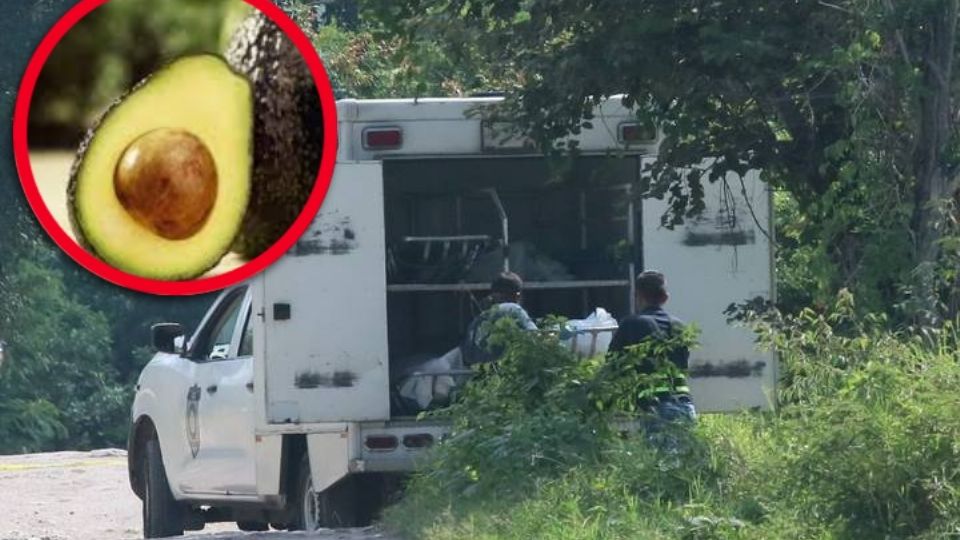 El hombre disfrutaría del preciado fruto para su comida de la tarde, cuando un resbalón le quitó la vida