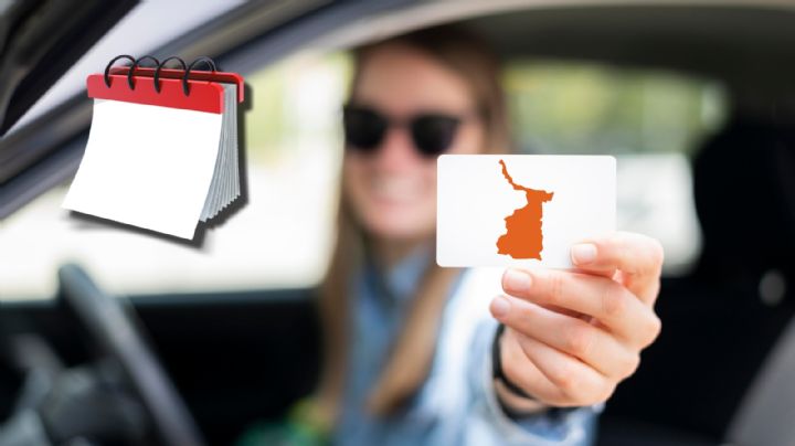 Licencia de conducir permanente de Tamaulipas: ¿cuál será su precio en diciembre de 2024?