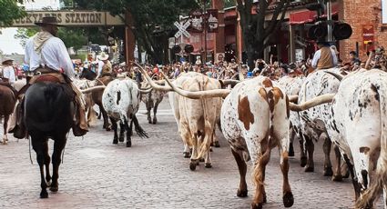 Lánzate un fin de semana a conocer el corazón del Viejo Oeste más vaquero de Texas y el mundo