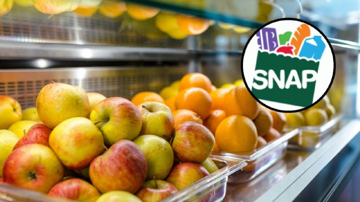 Texas: en esta fecha se pagarán beneficios de SNAP en diciembre de 2024
