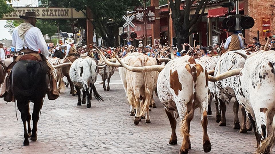 El corazón vaquero de Texas.