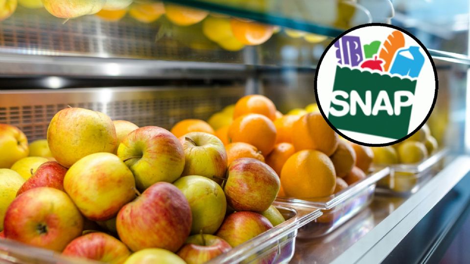 SNAP: ¿cuándo se pagará en diciembre de 2024?