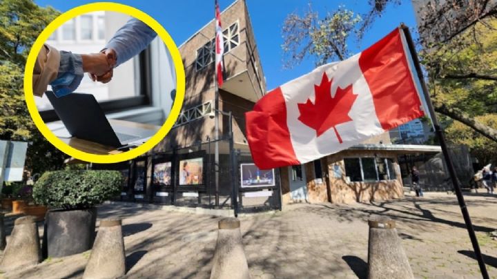 Embajada de Canadá en México ofrece vacantes con atractivo sueldos; estos son los requisitos
