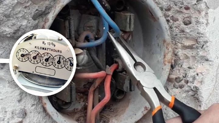 CFE estará alerta en diciembre contra los 'falsos usuarios': ¿quiénes son?