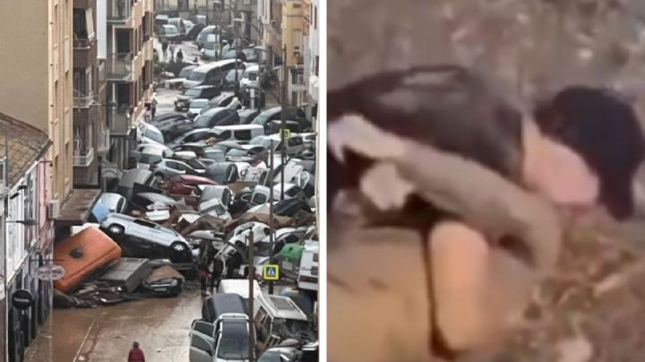 MOMENTO EXACTO en el que joven halla a su padre muerto adentro de auto