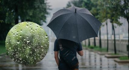 Clima en Nuevo Laredo: a sacar el suéter, ciudad amanece fresca; ¿bajará más la temperatura?