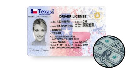 Licencia de conducir en Texas: costos y requisitos en noviembre de 2024