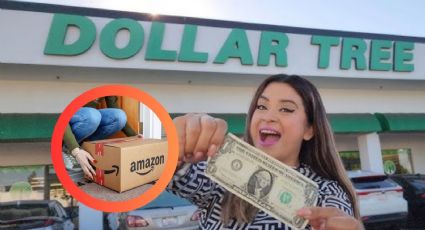 Dollar Tree vende exactamente los mismos productos que Amazon, ¡pero 19 dólares más baratos!