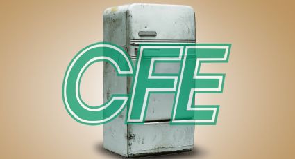 CFE: ¿cómo cambiar tu refrigerador viejo por uno nuevo en noviembre del 2024?