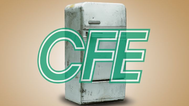 CFE: ¿cómo cambiar tu refrigerador viejo por uno nuevo en noviembre del 2024?
