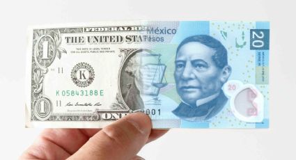 Dólar se trepa arriba de los 20 pesos: así cerró el tipo de cambio HOY 8 de noviembre del 2024