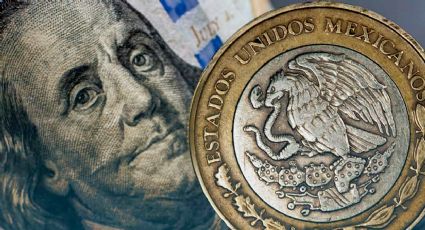 Dólar amanece de buenas, pero arriba de los 20 pesos: tipo de cambio HOY 9 de noviembre del 2024