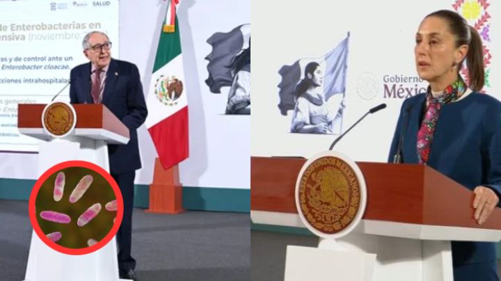 Confirman fallecimiento de 17 bebés por Klebsiella oxytoca; Sheinbaum promete sanciones