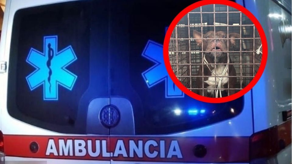 El ataque fue en San Nicolás, Nuevo León.