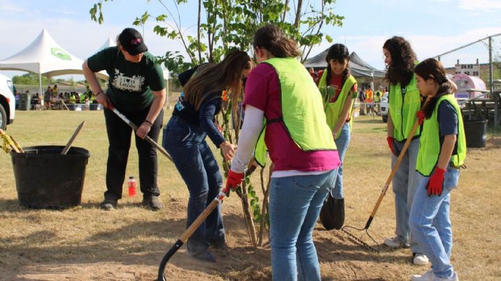 Laredo se viste de verde, plantación de árboles en el día Keep Laredo Beautiful