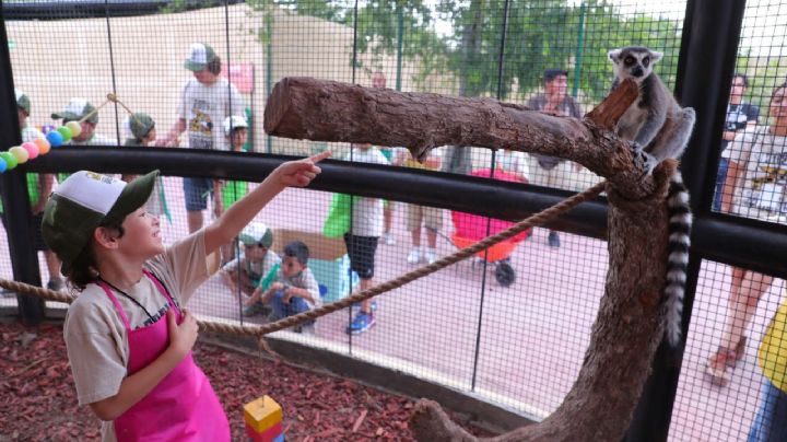 Invitan a ciudadanos de Nuevo Laredo a vivir una experiencia increíble en el zoológico