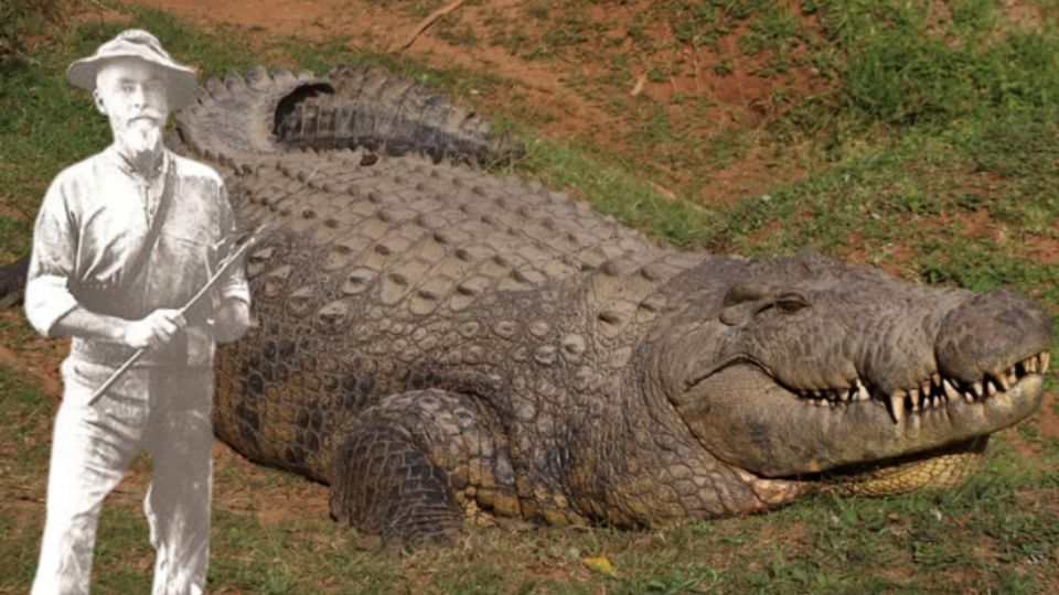 Henry Neumann y el cocodrilo Henry