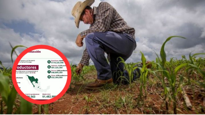 Producción para el Bienestar: esta fecha serán pagados los apoyos pendientes