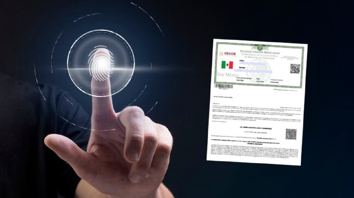 CURP biométrico: ¿qué trámites pedirán este nuevo documento?