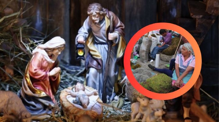 ¿Ya pusiste tu nacimiento?; descubre por qué deberías evitar el musgo y el heno este año