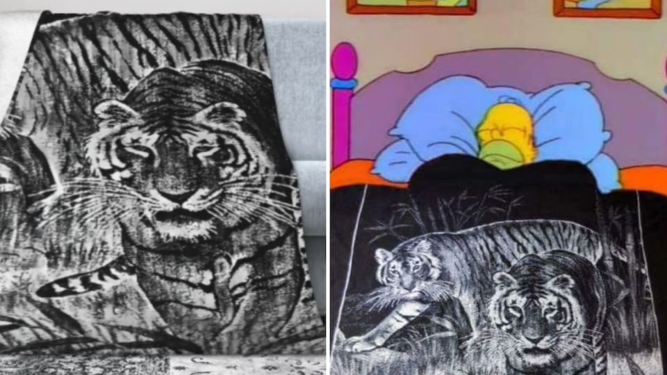 A pesar de su salida del mercado en 2004, el legado de estas cobijas vive en los hogares mexicanos y entre comunidades latinas en Estados Unidos