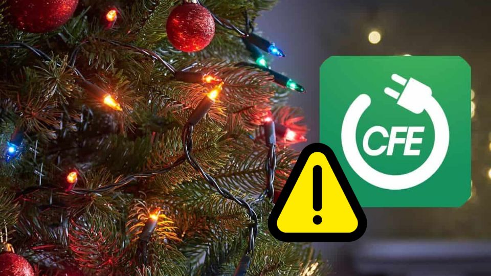 Comisión Federal de Electricidad.