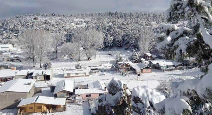 ¿Quieres disfrutar un fin de año 2024 con caída segura de nieve?; estos sitios de México son para ti