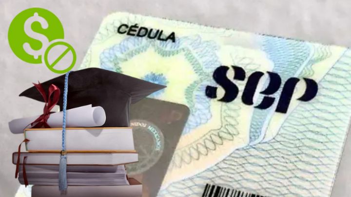 ¿Cédula y título profesional sin costo?: esta iniciativa contempla un gran beneficio