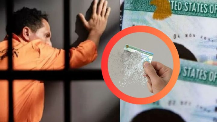 Green Card: estas son las graves consecuencias legales de falsificar este documento