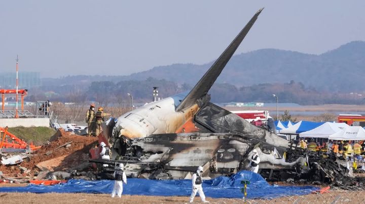 MOMENTO EXACTO en que avión se estrella en aeropuerto; un pájaro pudo haber sido el causante