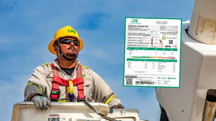 CFE: estos usuarios no pagarán el recibo de luz en diciembre de 2024, ¿quiénes son?