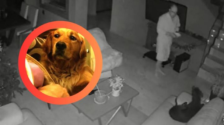 Perro dice ‘hola’, aterroriza a su dueño y lo persigue al ver su reacción; ¿realmente habló? | VIDEO