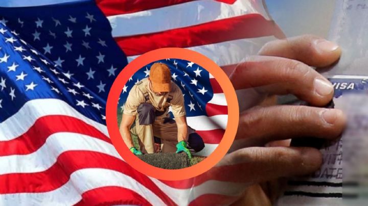 Visa americana de trabajo en diciembre: cumple con este requisito para poder laborar