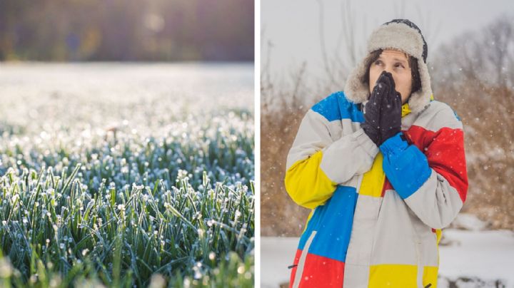 ¡Abríguese!; Frente Frío 13 traerá temperaturas congelantes de hasta -15 grados centígrados