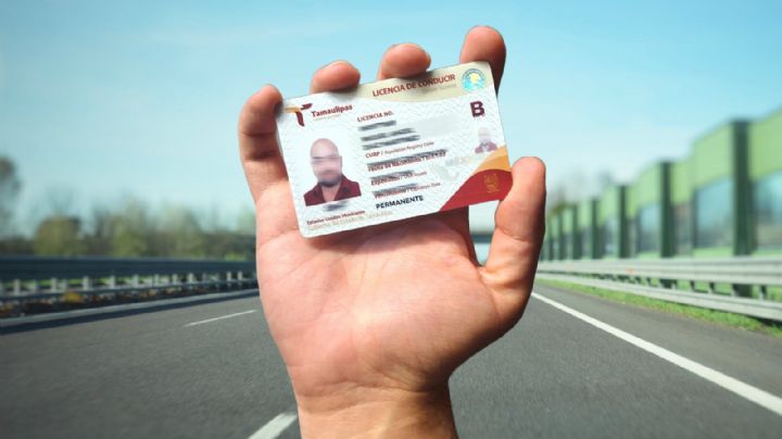 Licencia de conducir permanente: trámite gratis en febrero si vives en este estado