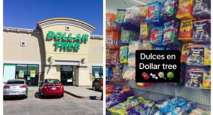 Dollar Tree: dulces que no sabías que vendía la tienda