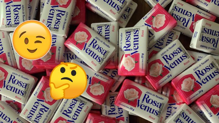 ¿Por qué el jabón Rosa Venus es el preferido por los hoteles y moteles?