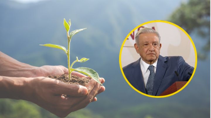 Reformas ambientales protegerán al maíz y al agua en México: AMLO