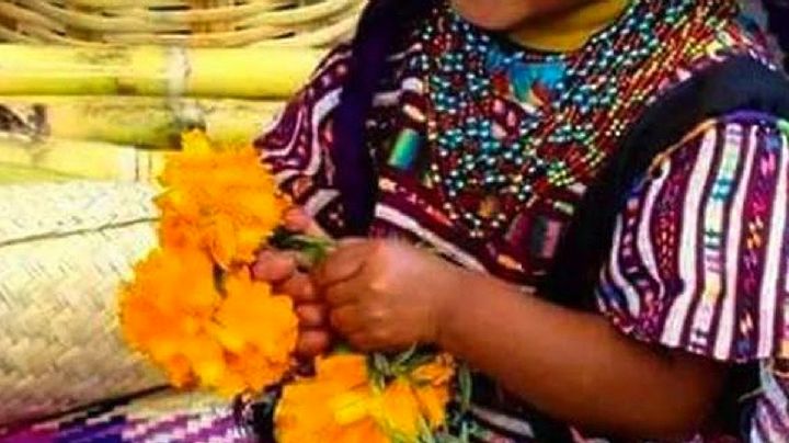 Separan a niña indígena de su familia en Reynosa, Tamaulipas; sus padres solicitan ayuda