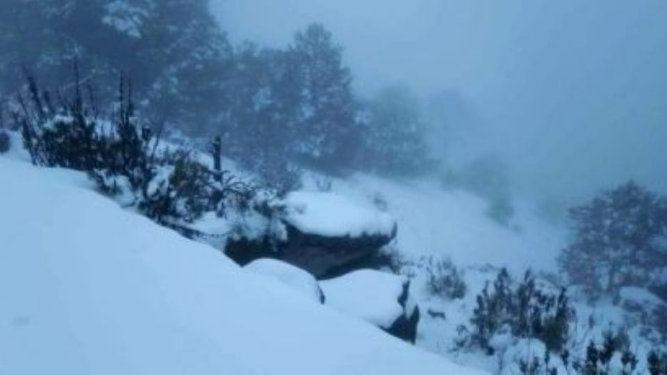 El clima nos ha regalado nuevas postales de blanco en varias partes de México