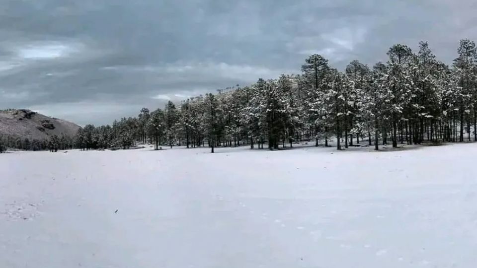 Miquihuana nevada