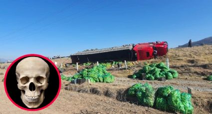 Pobladores rapiñan chiles tras accidente carretero, ¡pero están contaminados!