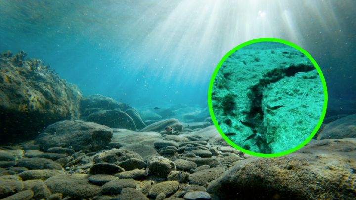 Océano Pacífico: las placas tectónicas se dividen y se hunden