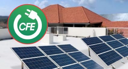 CFE: estos son los requisitos para instalar paneles solares y pagar menos de luz