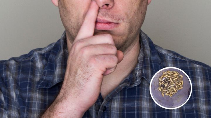 Descubren más de 100 larvas en nariz de un hombre; no lo sabía